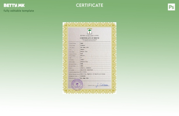 модерен стил Шаблон за PSD извод од матична книга на родените во Екваторијална Г